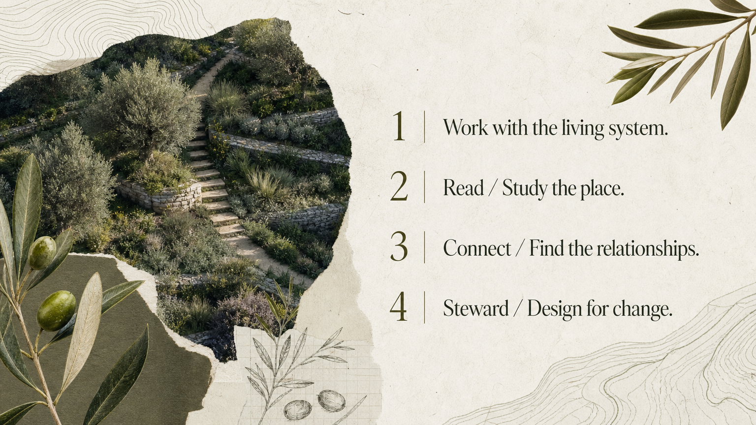 Work with the living system. Read / Study the place.
Connect / Find the relationships.
Steward / Design for change.