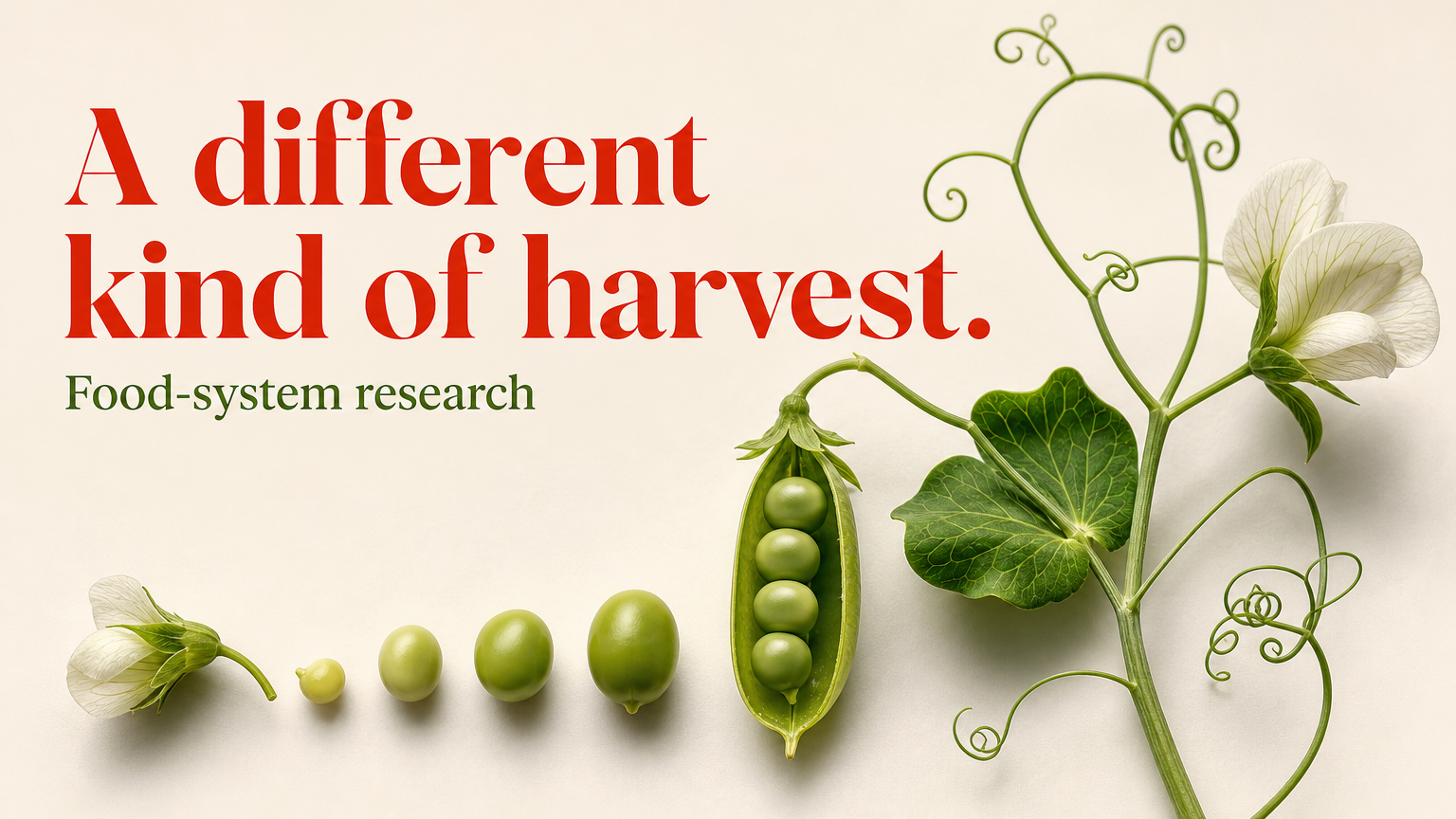 A different kind of harvest. Food-system research