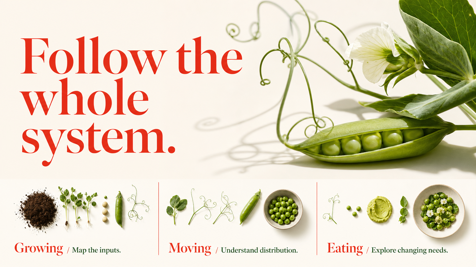 Follow the whole system. Growing / Map the inputs.
Moving / Understand distribution.
Eating / Explore changing needs.