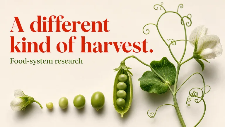 A different kind of harvest. Food-system research