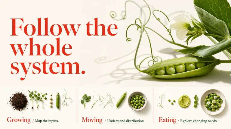 Follow the whole system. Growing / Map the inputs.
Moving / Understand distribution.
Eating / Explore changing needs.